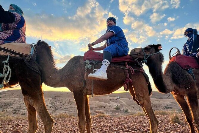 Dinner Show & camel ride with sunset views - The Sum Up