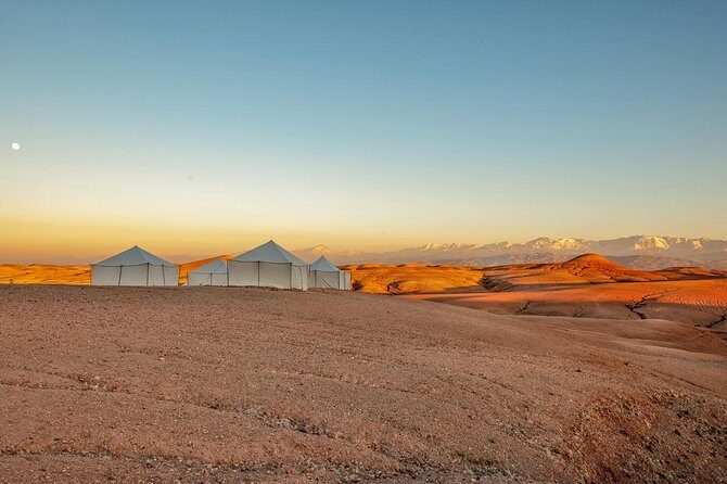Dinner Show in Agafay Desert with Quad Bike & Camels - What Do Reviewers Say?