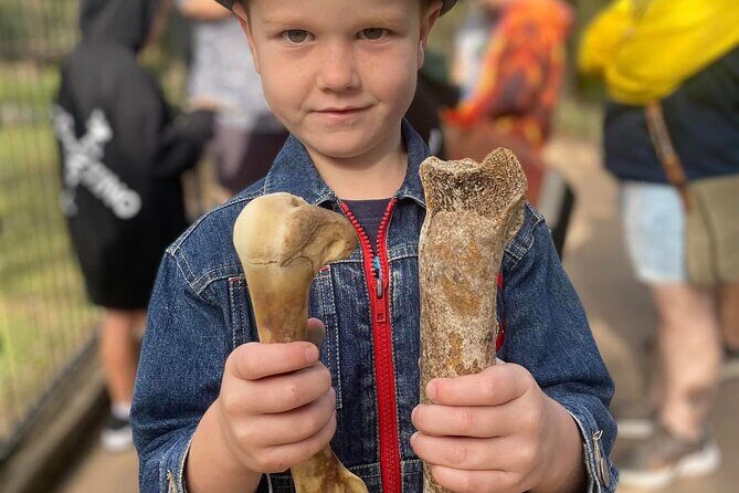 DINOSAUR and FOSSIL ZOO TOUR Rockhampton - What Is the Dinosaur and Fossil Zoo Tour?