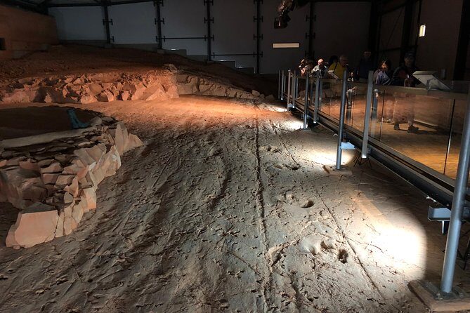 Dinosaur Stampede 3/4 Day Tour - Possible Drawbacks or Considerations