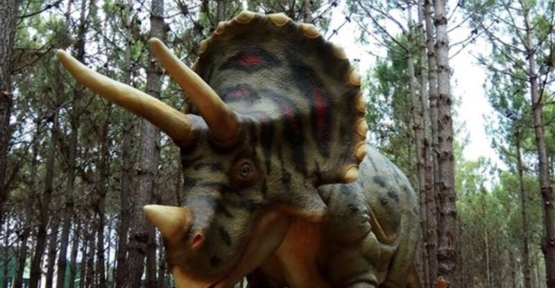 dinosaurs-park-family-half-day-tour
