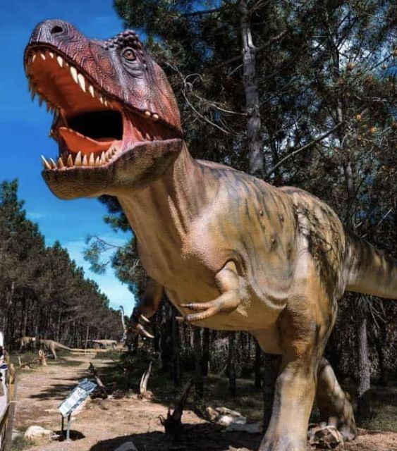 dinosaurs-park-family-half-day-tour