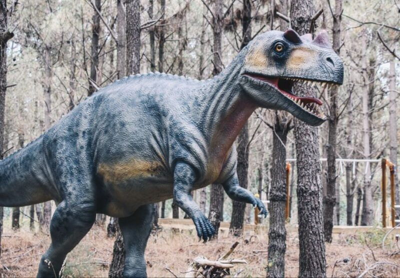 dinosaurs-park-family-half-day-tour