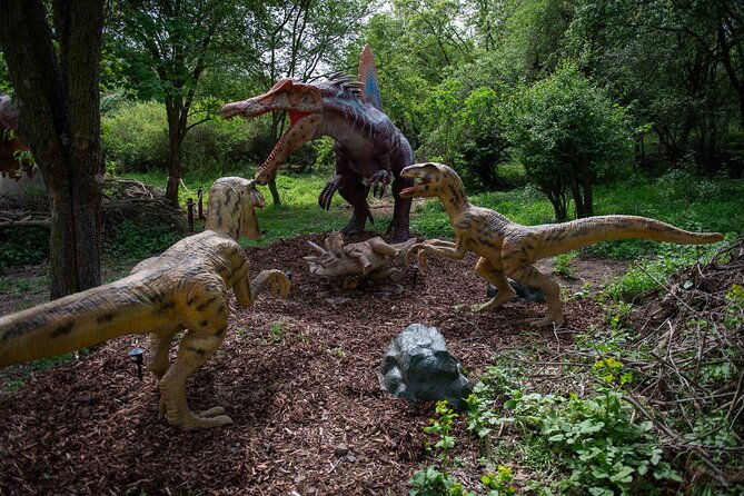 dinosaurus-amusement-park-best-dino-experience-in-prague