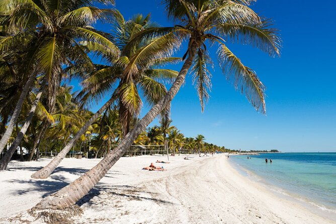direct-shuttle-from-orlando-to-key-west-up-to-15-people-group
