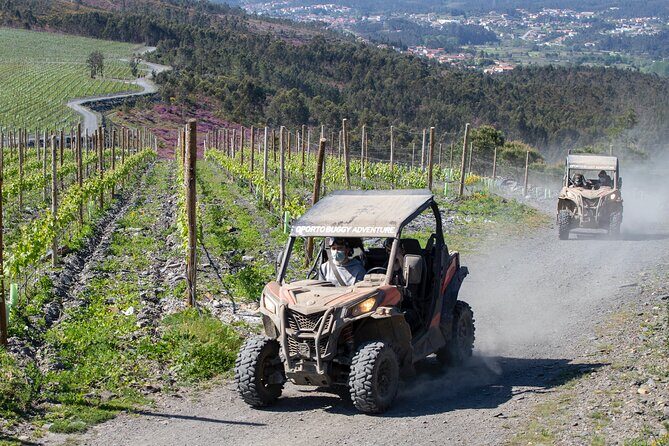 Dirt and Dust Tour by Oporto Buggy - The Guide Experience