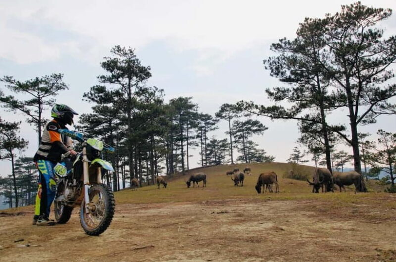 Dirt Bike Guided Tour in Dalat's Highlands - An Exciting Way to Explore Dalat’s Highlands