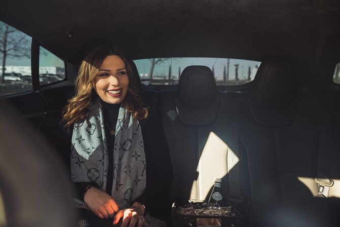 discorver-lyon-in-a-private-tour-with-your-driver