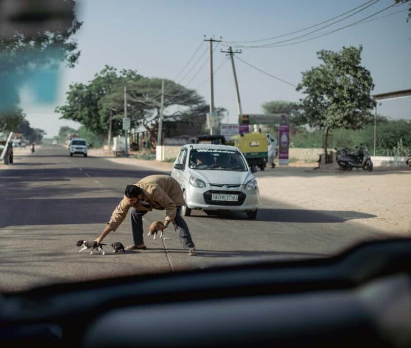 Discover Ahmedabad: Temples, Mosques & Secret Streets Tour - FAQ