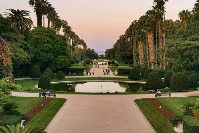 Discover Algiers and Tipaza on a 2 day private tour. - Final Thoughts