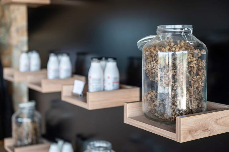 discover-aloe-a-farm-walk-workshop