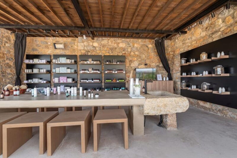 discover-aloe-a-farm-walk-workshop