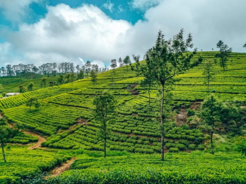discover-amazin-ella-2-nights-3-days-with-accommodation