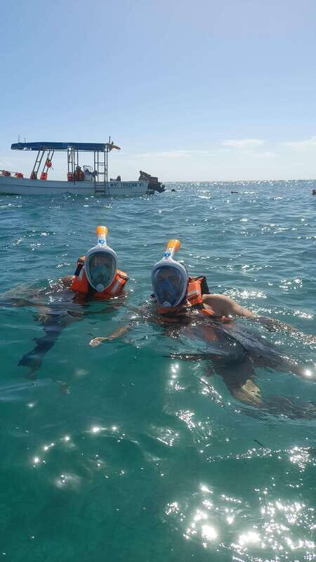 Discover an amazing reefsnorkel tour from Cancun! - Key Points
