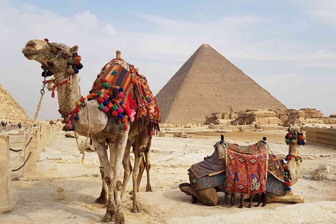 Discover Ancient Wonders Half Day Tour Giza Pyramids and Sphinx - Final Thoughts