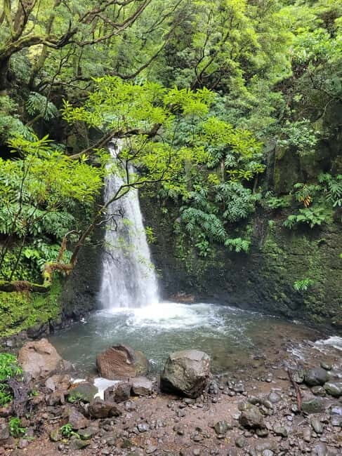 Discover and Hike São Miguel with Rúben - FAQ