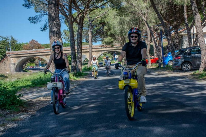 Discover Argeles and its landscapes on a solex - Key Points
