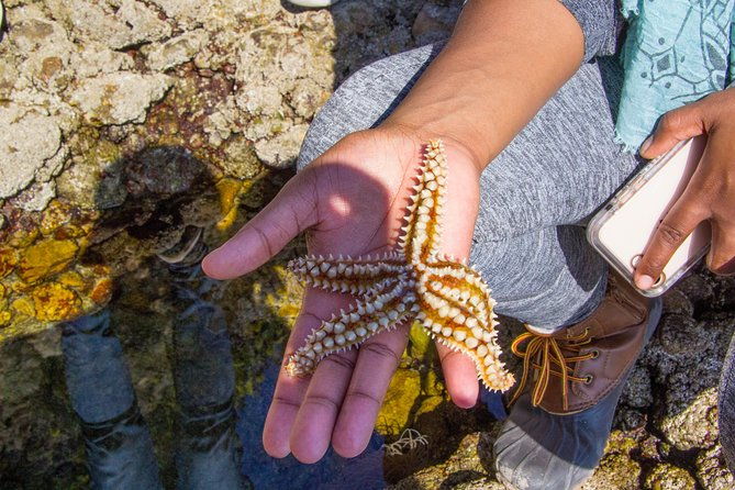 discover-arrabida-the-secret-paradise