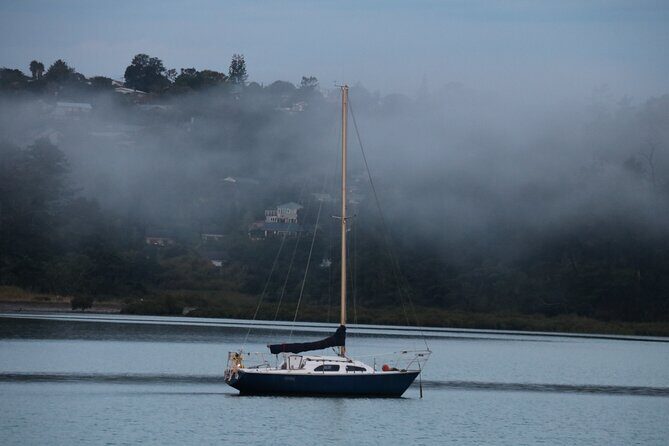 Discover Aucklands Famous Spots - What to Expect from the Tour