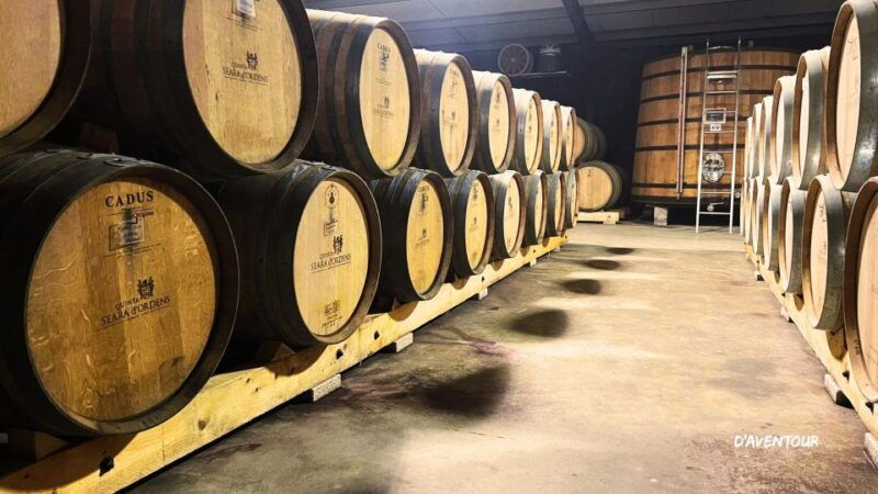 discover-authentic-douro-with-daventour