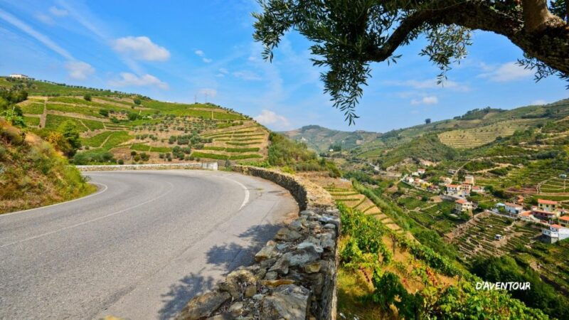 discover-authentic-douro-with-daventour