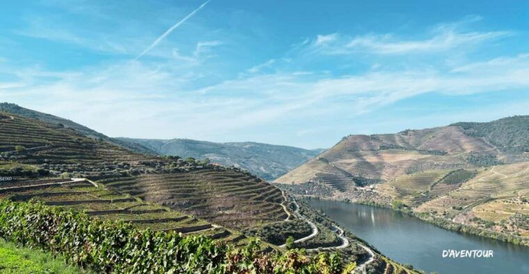discover-authentic-douro-with-daventour