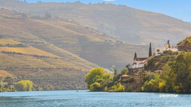 discover-authentic-douro-with-daventour