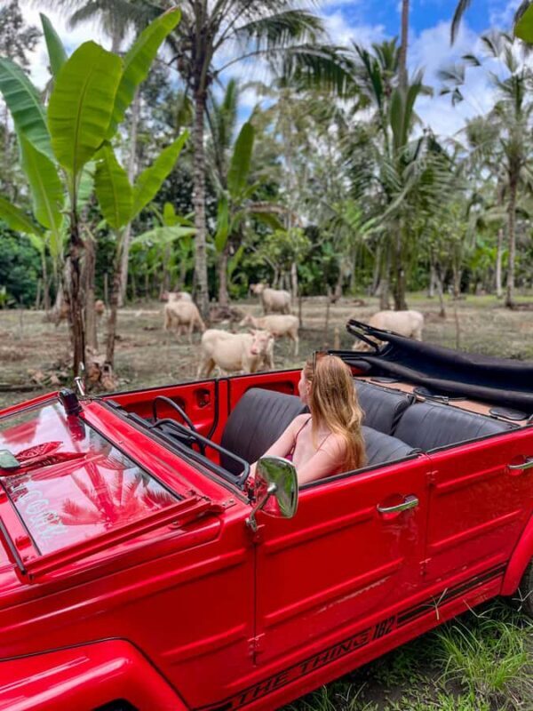 Discover Balis Roots in a Vintage VW - The Charm of Traveling in a Vintage VW