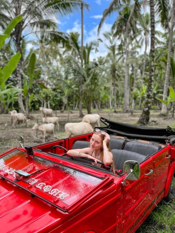 Discover Balis Roots in a Vintage VW - Practical Details & What to Bring