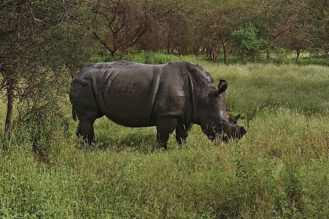 Discover Bandia Safari and The Lagoon of Somone - Key Points