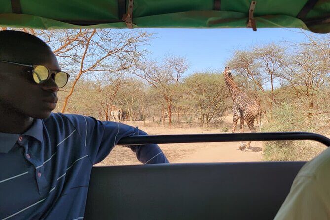 Discover Bandia Safari and The Lagoon of Somone - Authentic Insights from Travelers