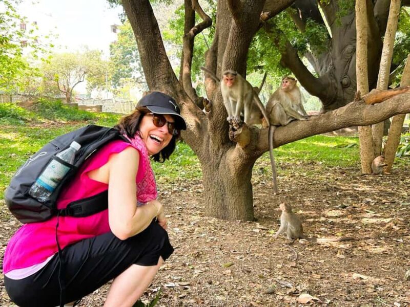 Discover Bangalore Through the Ages  Guided Tour with Lunch - Bangalore Fort and KR Market: Stories of the Past and Present