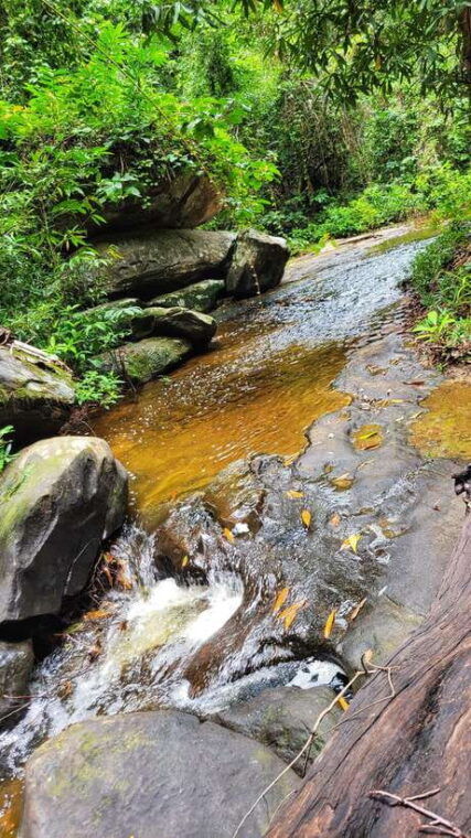 discover-banteay-srei-kbal-spean-local-village-adventure