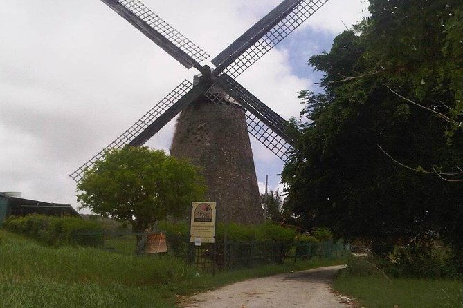 discover-barbados-with-inajas-transport-and-tours