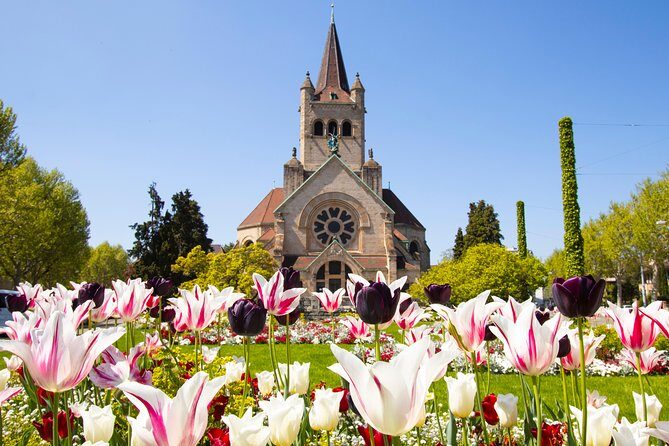 Discover Basels most Photogenic Spots with a Local - An In-Depth Look at the Photogenic Basel Tour