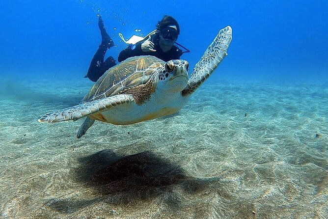 discover-beginner-diving-in-tenerife