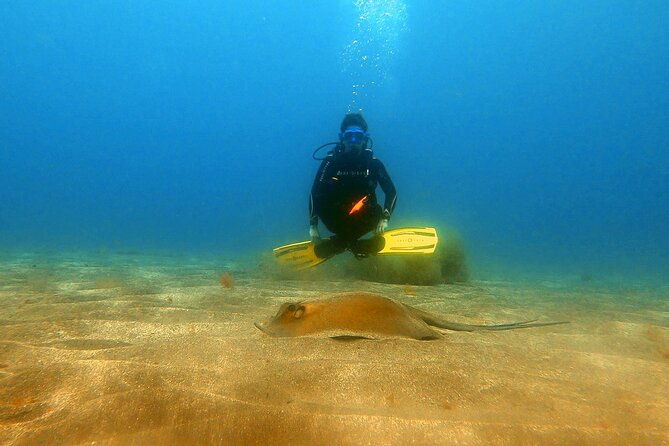 discover-beginner-diving-in-tenerife