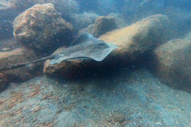 discover-beginner-diving-in-tenerife
