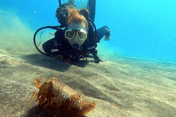 discover-beginner-diving-in-tenerife