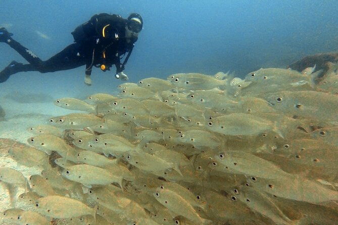 discover-beginner-diving-in-tenerife