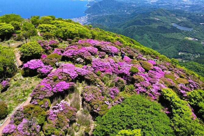 Discover Beppu and Yufuin Nature and Onsen Trip - Who Will Enjoy This Tour?