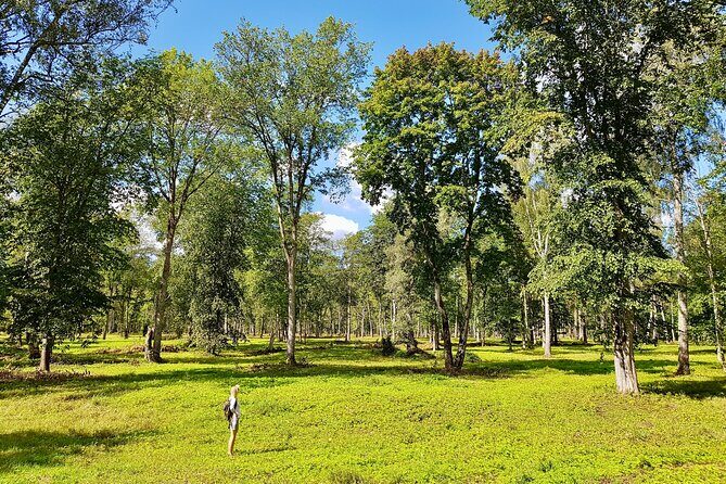 Discover Best Of Gauja National Park In One Day - An In-Depth Look at the Gauja National Park Tour