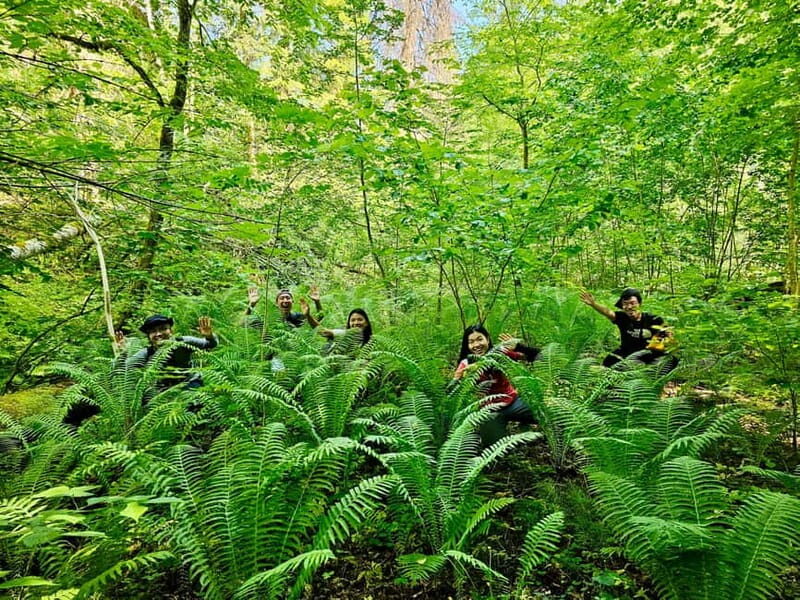Discover Best of Sigulda and Gauja National Park In One Day - Summary and Who Will Love This Tour