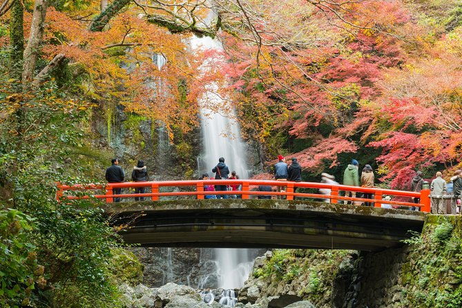 discover-bohemian-nakazakicho