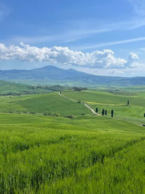 Discover Brunello Wines - Discover Brunello Wines: An Authentic Tuscan Experience