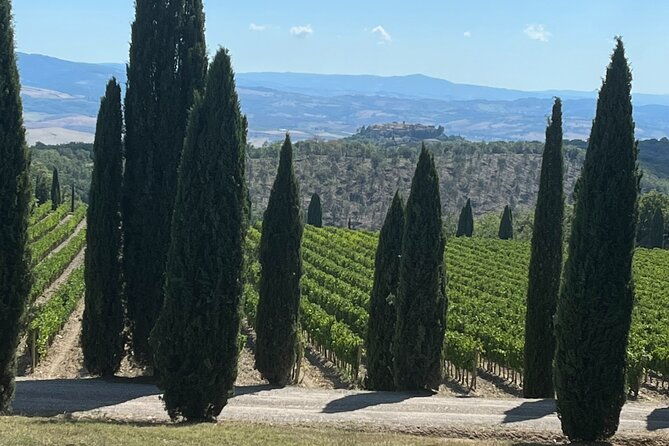 discover-brunello-wines-with-diwine-experience