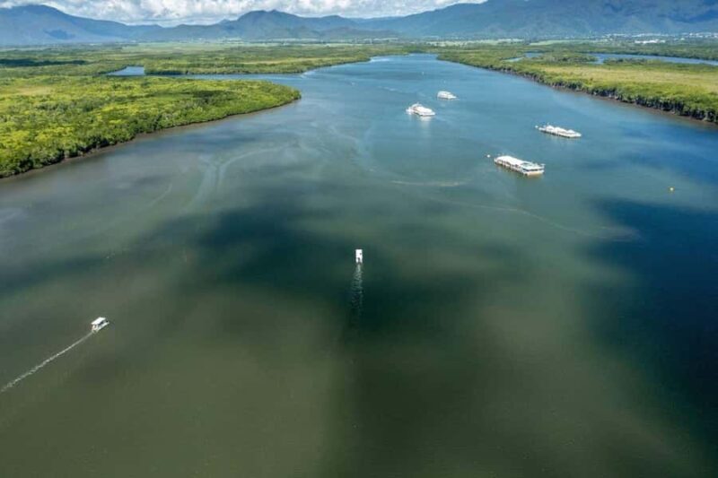 Discover Cairns: Cairns River Cruise & City Sights Tour - Who This Tour Is Best For