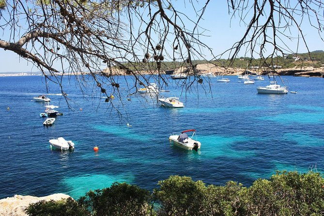 discover-cala-bassa-and-cala-comte-on-board-a-catamaran