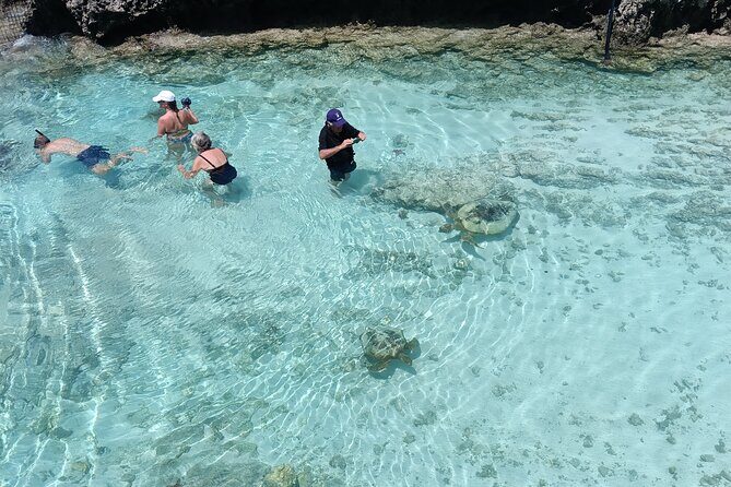 Discover Cascades & Turtle Experience with Yumi Tours - What’s Included and What’s Not