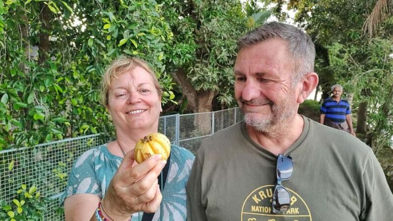 Discover Chennamkari: A Day In The Heart Of Alleppey - Practical Aspects and Value